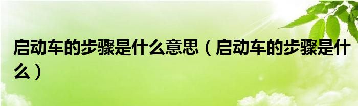 启动车的步骤是什么意思（启动车的步骤是什么）