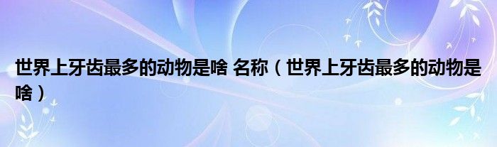 世界上牙齿最多的动物是啥 名称（世界上牙齿最多的动物是啥）