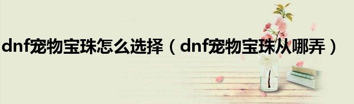 dnf宠物宝珠怎么选择（dnf宠物宝珠从哪弄）