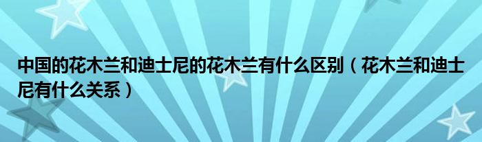 中国的花木兰和迪士尼的花木兰有什么区别（花木兰和迪士尼有什么关系）