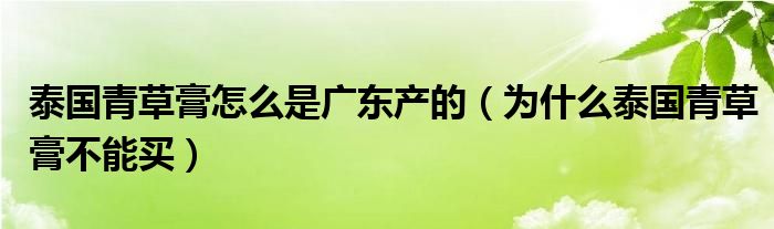 泰国青草膏怎么是广东产的（为什么泰国青草膏不能买）