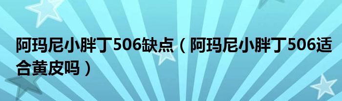 阿玛尼小胖丁506缺点（阿玛尼小胖丁506适合黄皮吗）