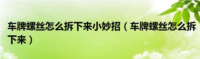 车牌螺丝怎么拆下来小妙招（车牌螺丝怎么拆下来）