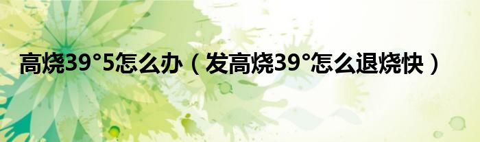 高烧39°5怎么办（发高烧39°怎么退烧快）