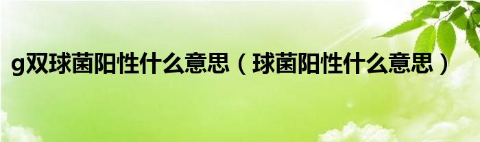 g双球菌阳性什么意思（球菌阳性什么意思）