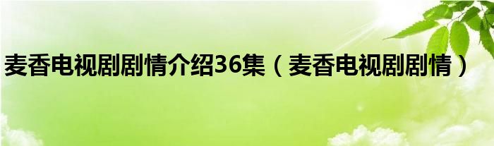 麦香电视剧剧情介绍36集（麦香电视剧剧情）