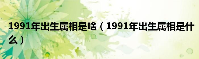 1991年出生属相是啥（1991年出生属相是什么）