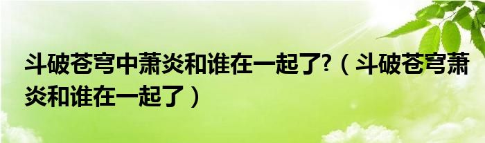 斗破苍穹中萧炎和谁在一起了?（斗破苍穹萧炎和谁在一起了）