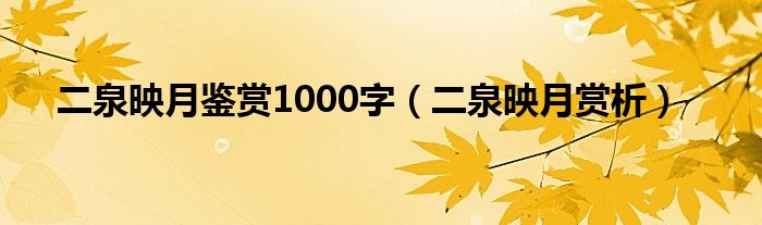 二泉映月鉴赏1000字（二泉映月赏析）