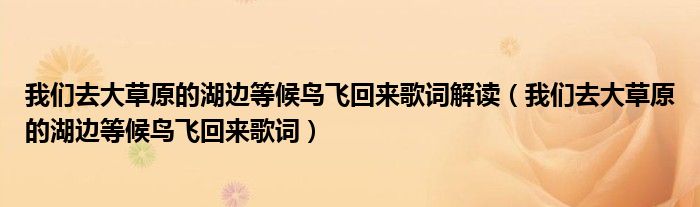 我们去大草原的湖边等候鸟飞回来歌词解读（我们去大草原的湖边等候鸟飞回来歌词）