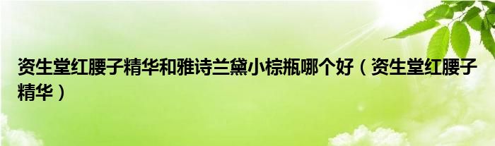 资生堂红腰子精华和雅诗兰黛小棕瓶哪个好（资生堂红腰子精华）