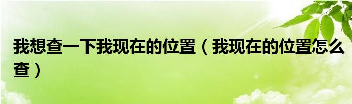 我想查一下我现在的位置（我现在的位置怎么查）