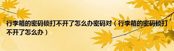 行李箱的密码锁打不开了怎么办密码对（行李箱的密码锁打不开了怎么办）