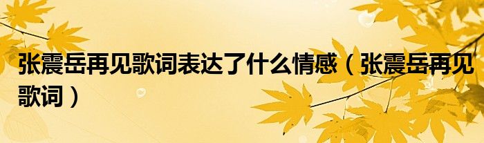 张震岳再见歌词表达了什么情感（张震岳再见歌词）