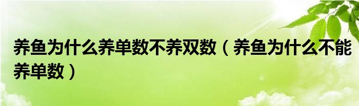 养鱼为什么养单数不养双数（养鱼为什么不能养单数）