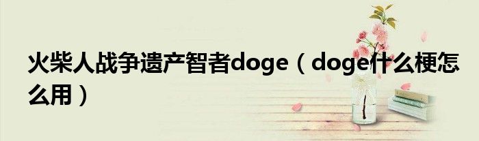 火柴人战争遗产智者doge（doge什么梗怎么用）