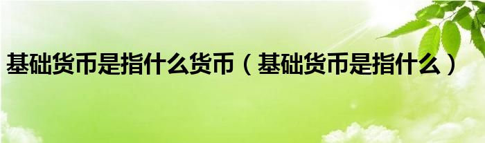 基础货币是指什么货币（基础货币是指什么）