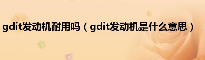 gdit发动机耐用吗（gdit发动机是什么意思）