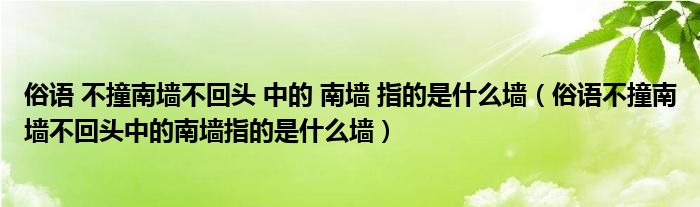 俗语 不撞南墙不回头 中的 南墙 指的是什么墙（俗语不撞南墙不回头中的南墙指的是什么墙）