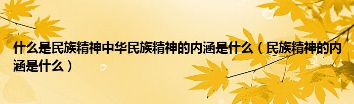 什么是民族精神中华民族精神的内涵是什么（民族精神的内涵是什么）