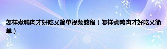 怎样煮鸭肉才好吃又简单视频教程（怎样煮鸭肉才好吃又简单）