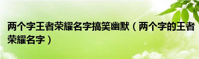 两个字王者荣耀名字搞笑幽默（两个字的王者荣耀名字）