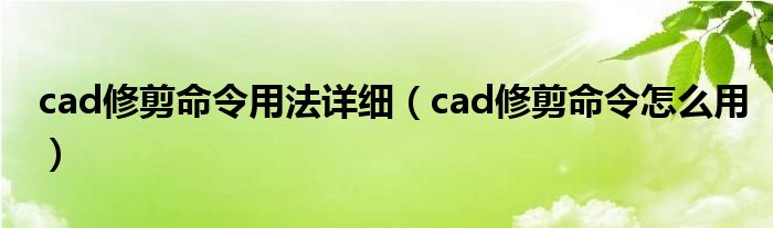 cad修剪命令用法详细（cad修剪命令怎么用）