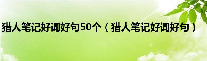 猎人笔记好词好句50个（猎人笔记好词好句）