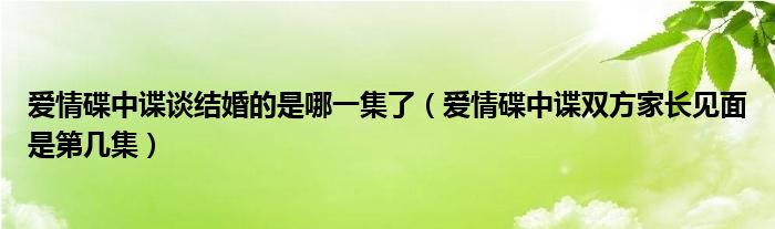 爱情碟中谍谈结婚的是哪一集了（爱情碟中谍双方家长见面是第几集）