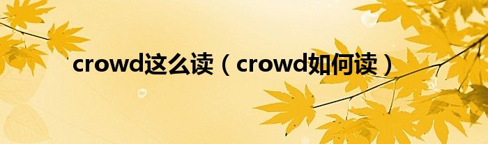 crowd这么读（crowd如何读）