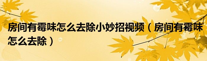 房间有霉味怎么去除小妙招视频（房间有霉味怎么去除）