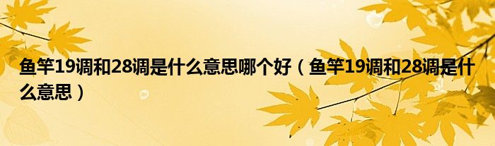 鱼竿19调和28调是什么意思哪个好（鱼竿19调和28调是什么意思）