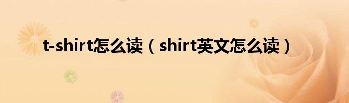 t-shirt怎么读（shirt英文怎么读）