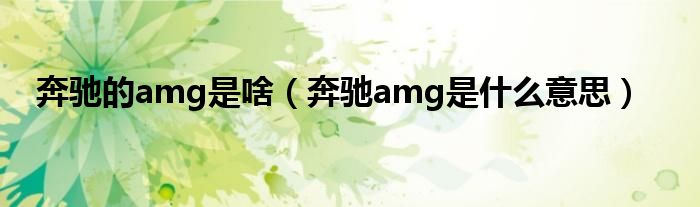 奔驰的amg是啥（奔驰amg是什么意思）