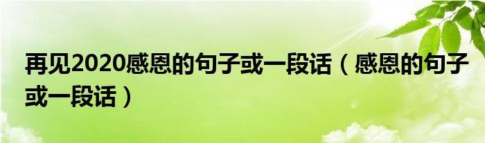 再见2020感恩的句子或一段话（感恩的句子或一段话）