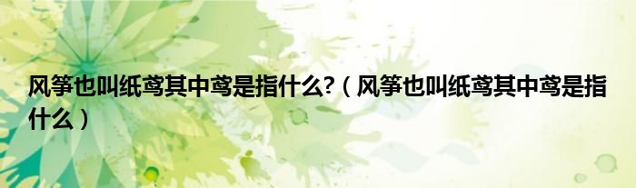 风筝也叫纸鸢其中鸢是指什么?（风筝也叫纸鸢其中鸢是指什么）