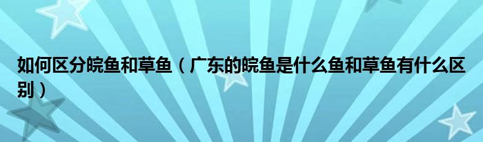 如何区分皖鱼和草鱼（广东的皖鱼是什么鱼和草鱼有什么区别）