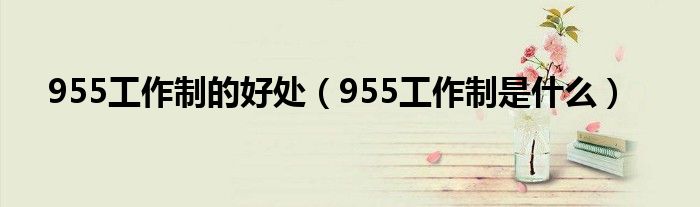 955工作制的好处（955工作制是什么）