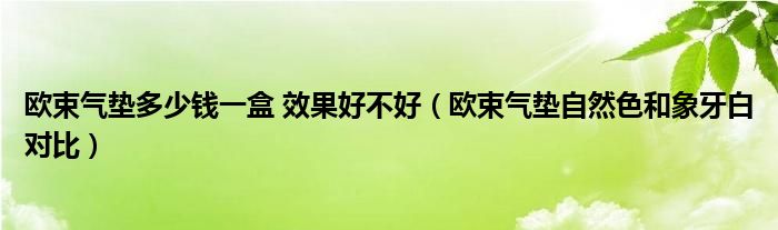 欧束气垫多少钱一盒 效果好不好（欧束气垫自然色和象牙白对比）