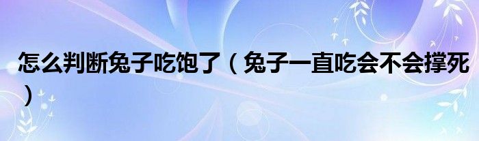 怎么判断兔子吃饱了（兔子一直吃会不会撑死）