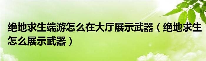 绝地求生端游怎么在大厅展示武器（绝地求生怎么展示武器）