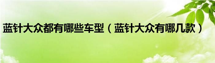 蓝针大众都有哪些车型（蓝针大众有哪几款）