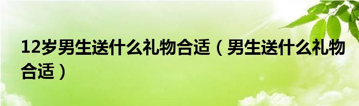 12岁男生送什么礼物合适（男生送什么礼物合适）