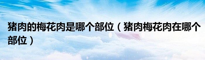 猪肉的梅花肉是哪个部位（猪肉梅花肉在哪个部位）