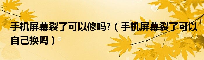 手机屏幕裂了可以修吗?（手机屏幕裂了可以自己换吗）