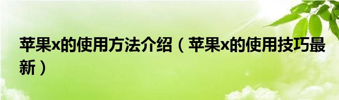 苹果x的使用方法介绍（苹果x的使用技巧最新）