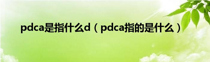 pdca是指什么d（pdca指的是什么）