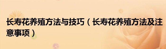 长寿花养殖方法与技巧（长寿花养殖方法及注意事项）