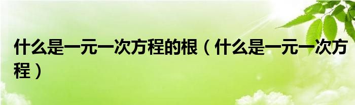 什么是一元一次方程的根（什么是一元一次方程）