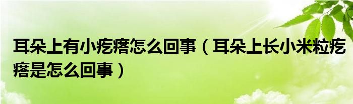 耳朵上有小疙瘩怎么回事（耳朵上长小米粒疙瘩是怎么回事）